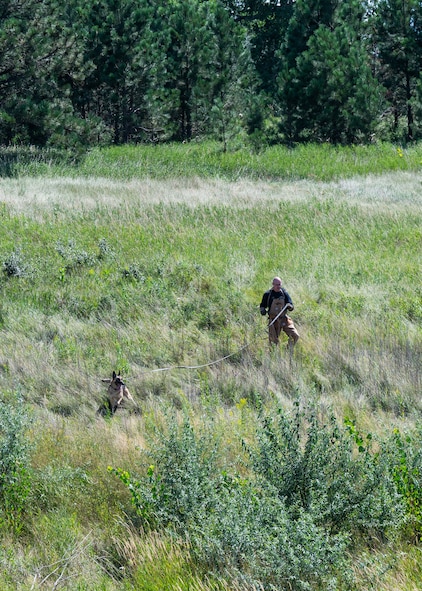 A U.S. Air Force military working dog hander and his dog wander around the wilderness for training purposes.