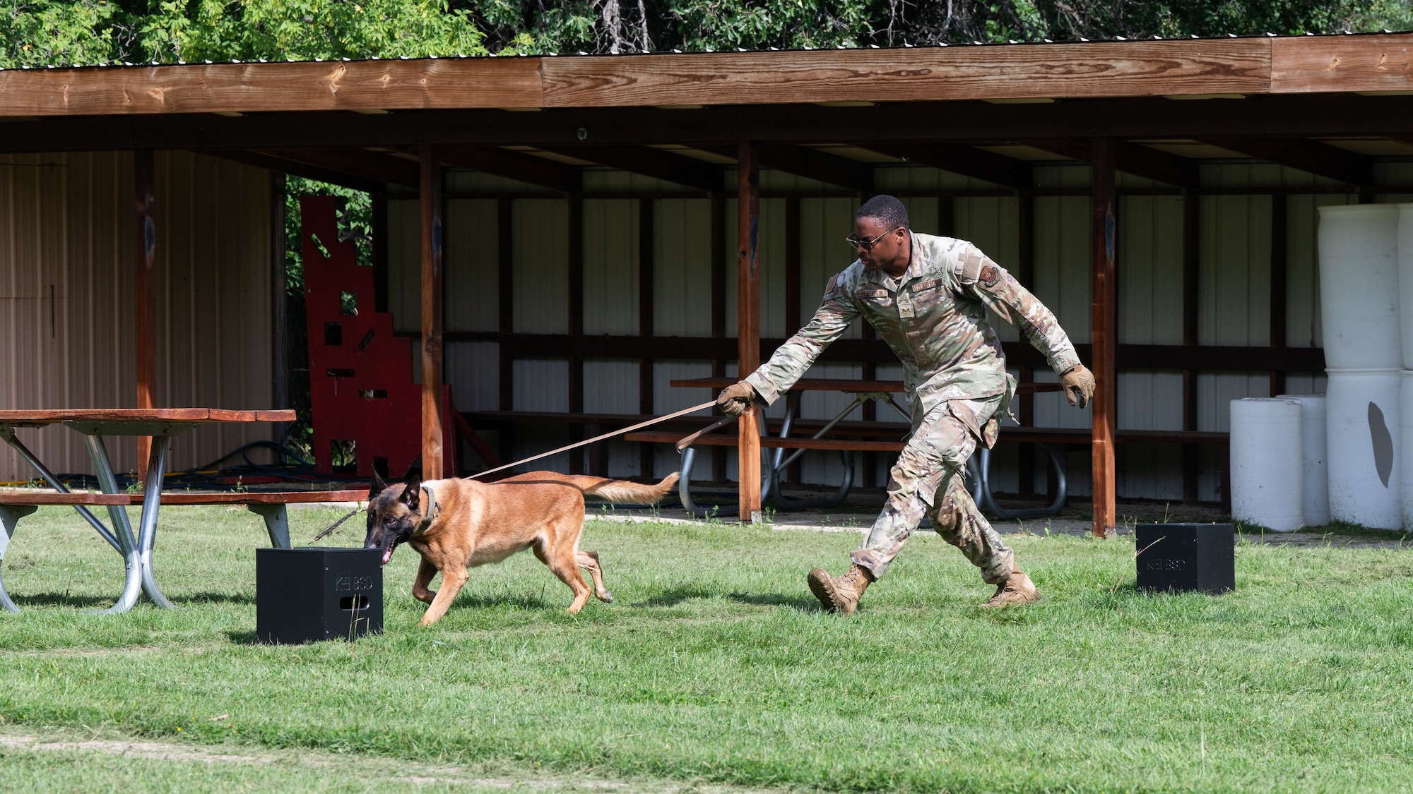 A U.S. Air Force military working dog handler and his dog conduct training lane procedures by having the dog sniff out explosive substance samples.