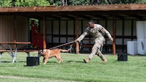 A U.S. Air Force military working dog handler and his dog conduct training lane procedures by having the dog sniff out explosive substance samples.