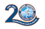 Silver Jackets 20th Anniversary logo graphic