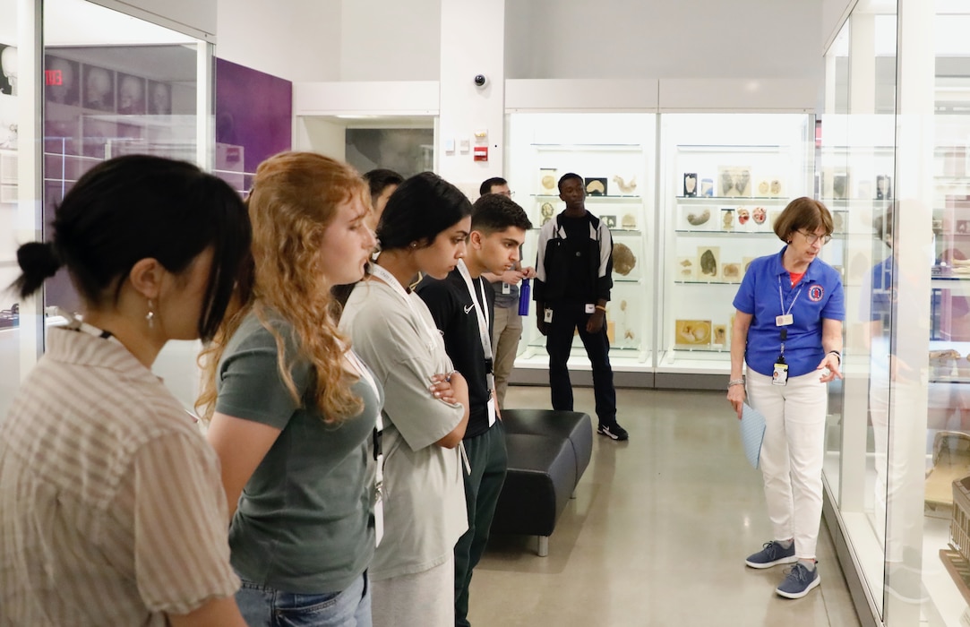 SILVER SPRING, Md. (Aug. 15, 2025) Naval Medical Research Command (NMRC) interns with the Naval Research Enterprise Internship Program (NREIP) and the Science and Engineering Apprenticeship Program (SEAP) participate in a guided tour at the National Museum of Health and Medicine. NMRC, headquarters of Navy Medicine Research & Development, is engaged in a broad spectrum of activity from basic science in the laboratory to field studies in austere and remote areas of the world to investigations in operational environments. In support of Navy, Marine Corps and joint U.S. warfighter health, readiness and lethality, researchers study infectious diseases, biological warfare detection and defense, combat casualty care, environmental health concerns, aerospace and undersea medicine, operational mission support and epidemiology. (U.S. Navy Photo by Sidney Hinds/ released)