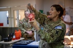 Lt. Col. Gayle Ryan, a general surgeon with the Delaware Army National Guard, is currently assigned to the 256th Infantry Brigade Combat Team as the Medical Director for KFOR Regional Command-East. She leads the charge to ensure troops stay healthy, mission-ready, and medically prepared for anything—even while deployed.