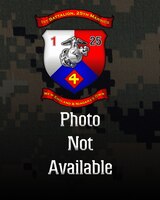 First Battalion, 25th Marine Regiment logo