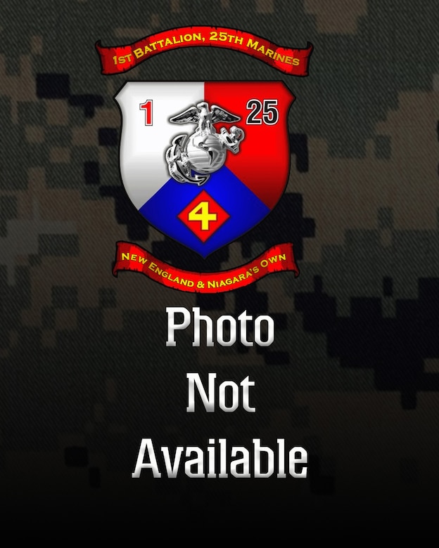 First Battalion, 25th Marine Regiment logo