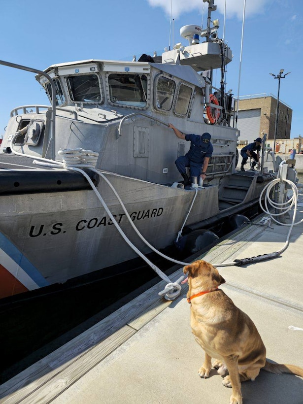 Members of U.S. Coast Guard Station Hatteras Inlet check mooring lines aboard 47ft Motor Life Boats at Cape Hatteras, NC, Aug 19, 2025. Coast Guard units and crews along the East Coast strategically moved personnel, equipment, and resources in anticipation of Hurricane Erin. (U.S. Coast Guard Courtesy Photo)