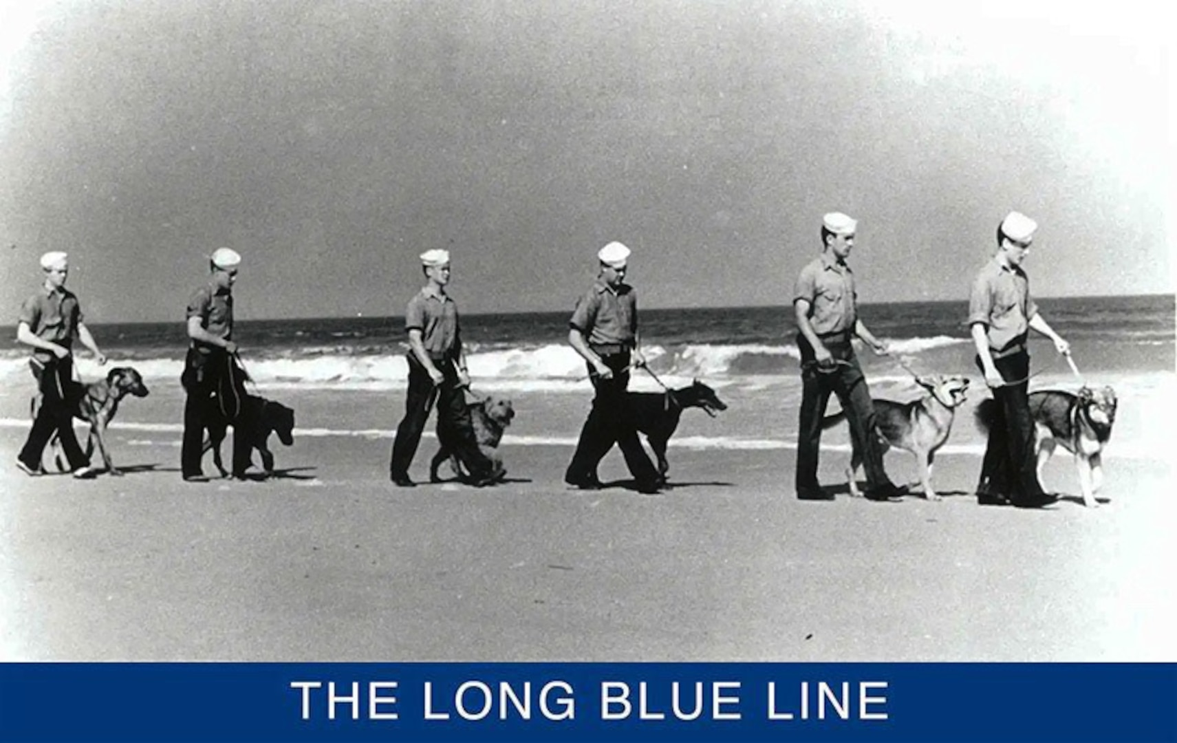 A World War II photograph showing the various canine breeds used by the Coast Guard in World War II. (U.S. Coast Guard)