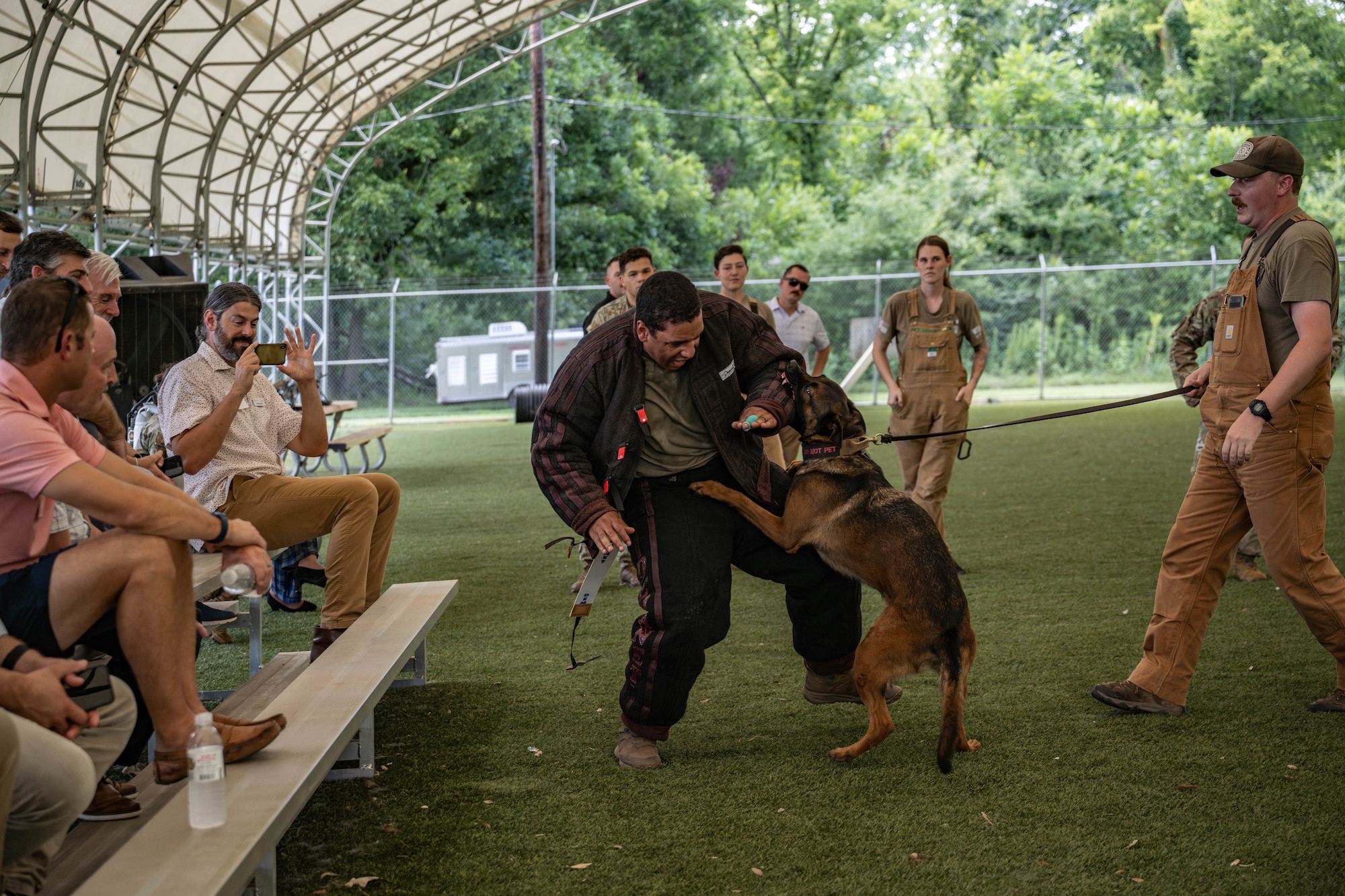 Dog bites bite suit during demonstration