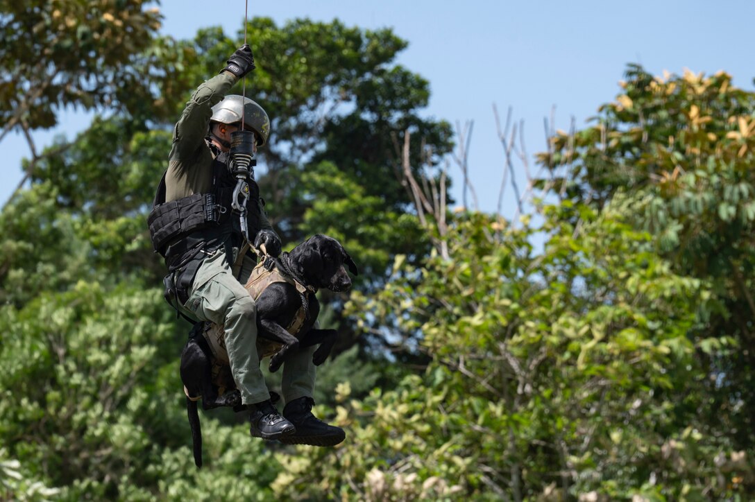 A Panamanian soldier and his bomb-detection K-9 get hoisted up during PANAMAX-Alpha Phase I, at Cerro Tigre, Panama, July 15, 2025. PANAMAX-Alpha Phase I is a government of Panama exercise supported by U.S. Southern Command, focused on security of the canal in Panama. The portion JTF-Bravo is participating in for phase one includes providing hot and cold load training, K-9 familiarization and hoist training, medical evacuation, fast rope insertion and aerial overwatch training with our helicopters and partners. (U.S. Air Force photo by Staff Sgt. Sadie Colbert)