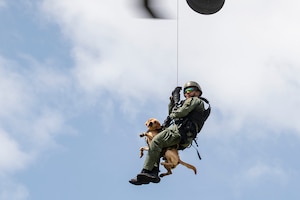 A Panamanian soldier and his bomb-detection K-9 get hoisted up during PANAMAX-Alpha Phase I, at Cerro Tigre, Panama, July 15, 2025. PANAMAX-Alpha Phase I is a government of Panama exercise supported by U.S. Southern Command, focused on security of the canal in Panama. The portion JTF-Bravo is participating in for phase one includes providing hot and cold load training, K-9 familiarization and hoist training, medical evacuation, fast rope insertion and aerial overwatch training with our helicopters and partners. (U.S. Air Force photo by Staff Sgt. Sadie Colbert)