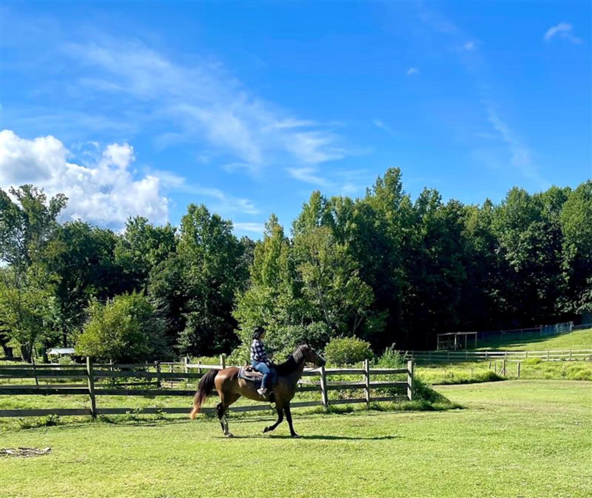 U.S. Air Force Staff Sgt. Karla Monroy, the noncommissioned officer in charge of The U.S. Air Force Band Commander’s Support Staff, participates in a horseback riding session in fall 2024. Retired Chief Master Sgt. Fredrick Edison, deputy director for the Military Personnel Flight with the11th Force Support Squadron, created his horseback riding mission, Freddy’s Heavenly Gaits, to support wellness for Airmen. (U.S. Air Force courtesy photo)