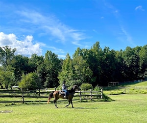 U.S. Air Force Staff Sgt. Karla Monroy, the noncommissioned officer in charge of The U.S. Air Force Band Commander’s Support Staff, participates in a horseback riding session in fall 2024. Retired Chief Master Sgt. Fredrick Edison, deputy director for the Military Personnel Flight with the11th Force Support Squadron, created his horseback riding mission, Freddy’s Heavenly Gaits, to support wellness for Airmen. (U.S. Air Force courtesy photo)