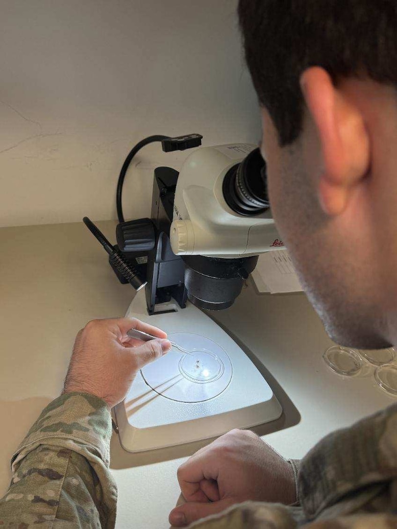 Service member leans over microscope and looks at tick.