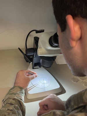Service member leans over microscope and looks at tick.