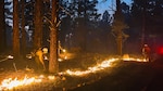 Members of the Oklahoma National Guard’s wildland firefighting program work to prevent the spread of a fire at Camp Navajo, Arizona, August 16, 2025. The Guardsmen were training at Camp Navajo when a real-world fire broke out and they began supporting the Camp Navajo Fire Department and other agencies in containing the fire. (Photo provided by Brian Weatherford)