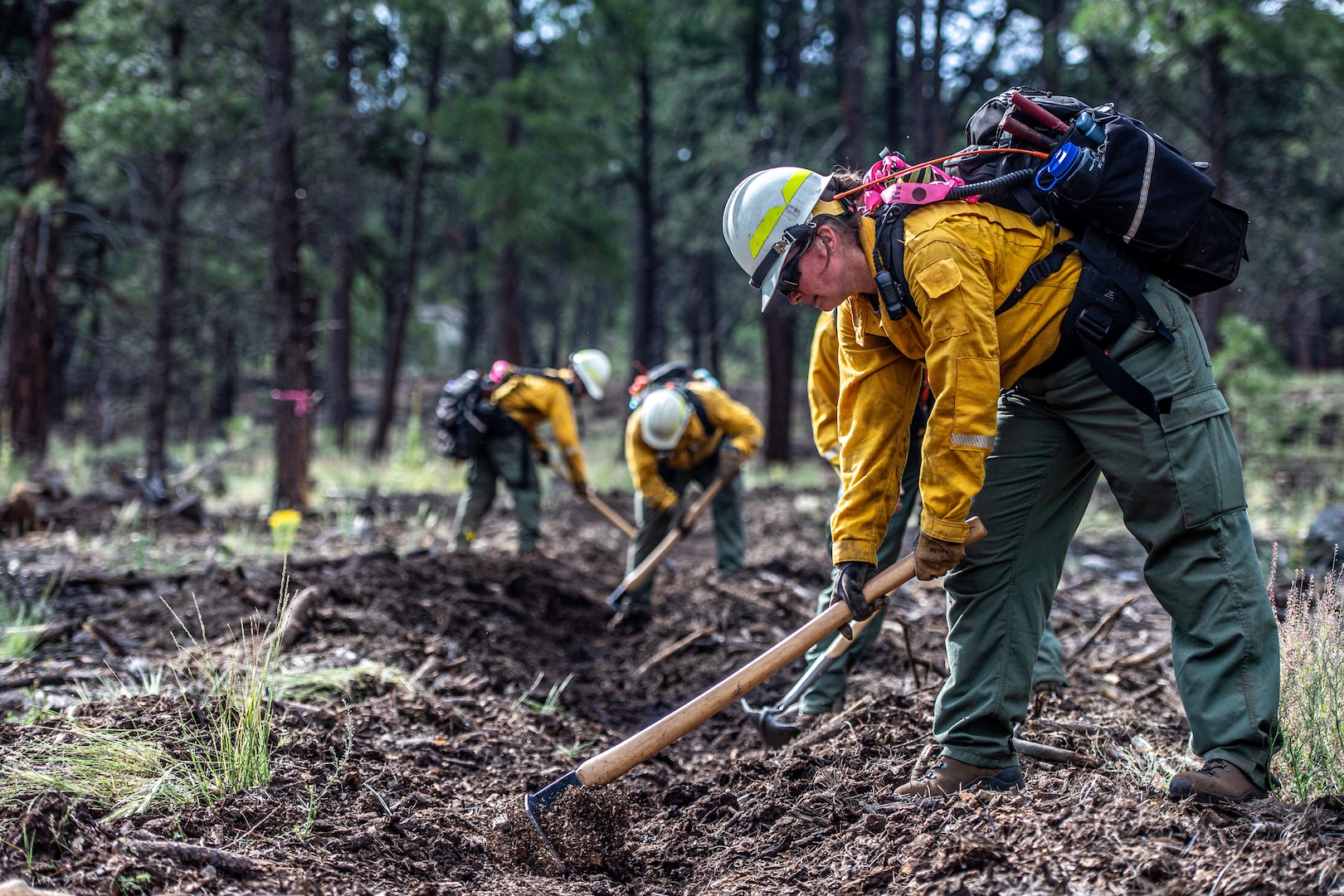Staff Sgt. Hannah Bentley, member of the Oklahoma National Guard wildland firefighting program, digs a handline during an operational readiness exercise at Camp Navajo, Arizona, Aug. 14, 2025. The operational readiness exercise tests the OKNG WLFF program members’ ability to activate, deploy and conduct wildland firefighting operations. (Oklahoma National Guard photo by Staff Sgt. Anthony Jones)