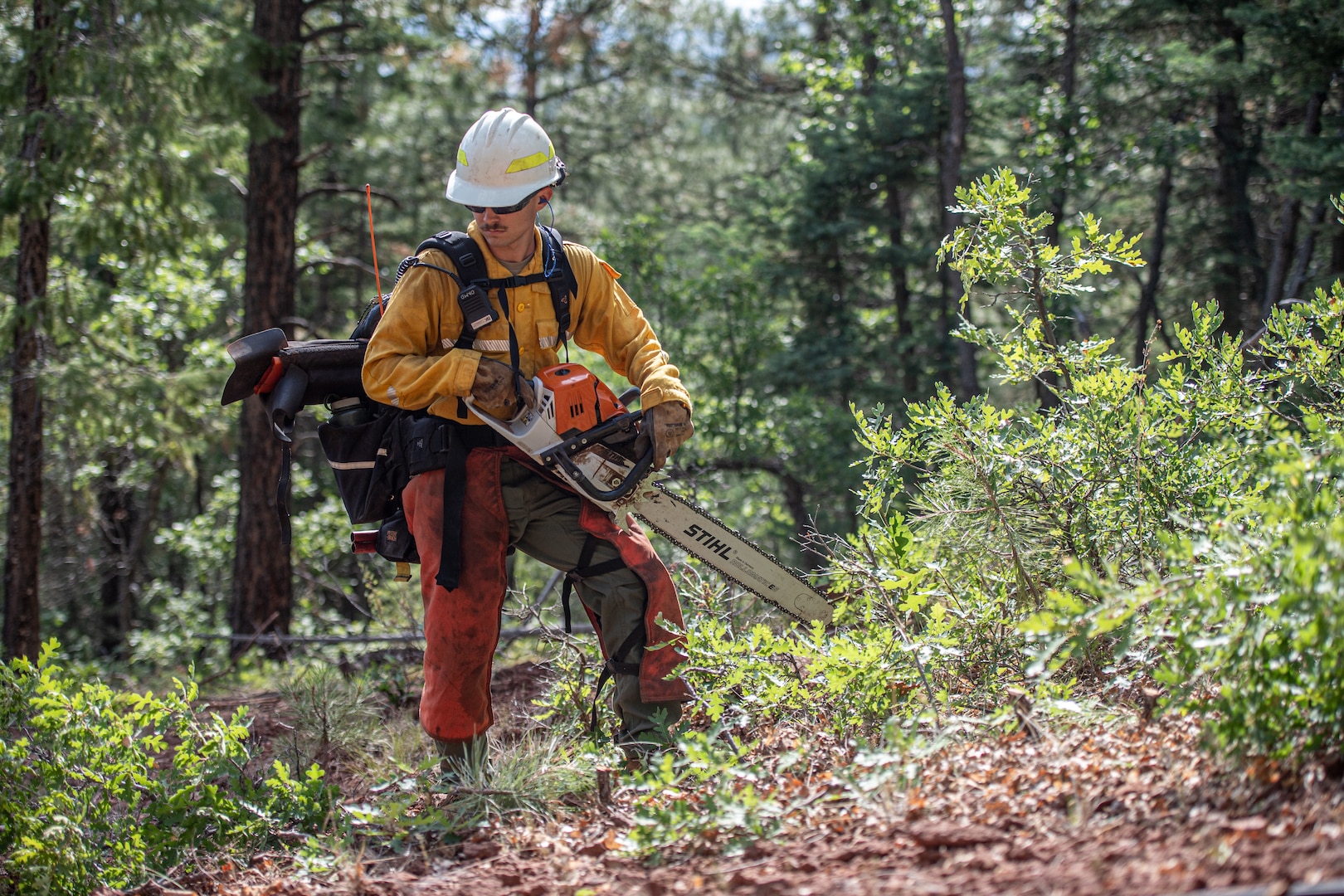 Sgt. Caleb Wampler, a multiple launch rocket system crewmember assigned of the Oklahoma Army National Guard’s 1st Battalion, 158th Field Artillery Regiment, 45th Field Artillery Brigade and a member of the OKNG wildland firefighting program, waits for the removal of trees he cut down before clearing more during an operational readiness exercise at Camp Navajo, Arizona, Aug. 13, 2025. The operational readiness exercise tests the OKNG members’ ability to activate, deploy and conduct wildland firefighting operations. (Oklahoma National Guard photo by Staff Sgt. Anthony Jones)