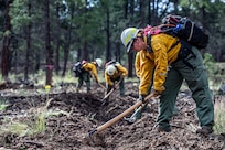 Staff Sgt. Hannah Bentley, member of the Oklahoma National Guard wildland firefighting program, digs a handline during an operational readiness exercise at Camp Navajo, Arizona, Aug. 14, 2025. The operational readiness exercise tests the OKNG WLFF program members’ ability to activate, deploy and conduct wildland firefighting operations. (Oklahoma National Guard photo by Staff Sgt. Anthony Jones)