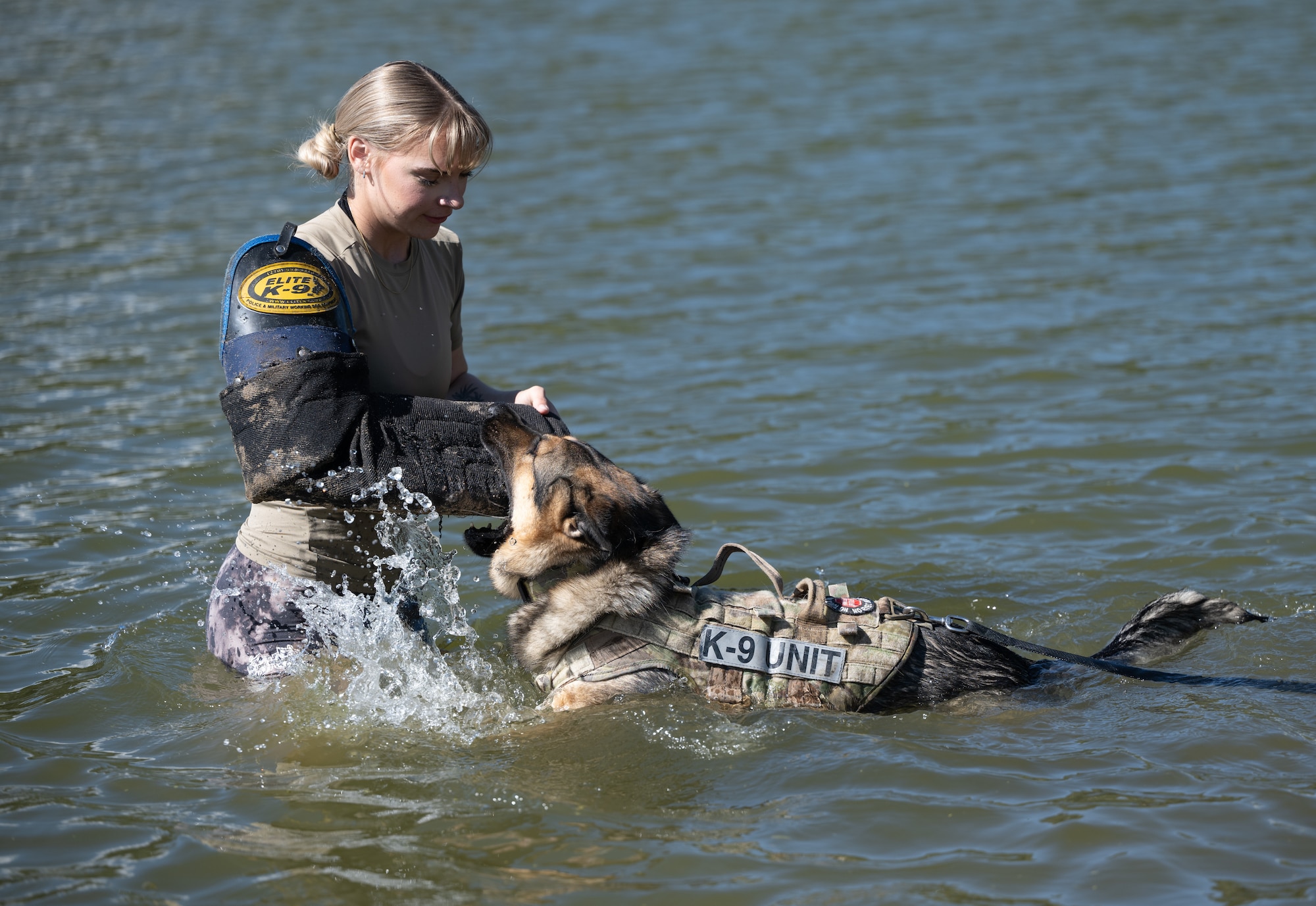 Manzoeillo is wearing a protective gauntlet used for training Csopi while in the water.
