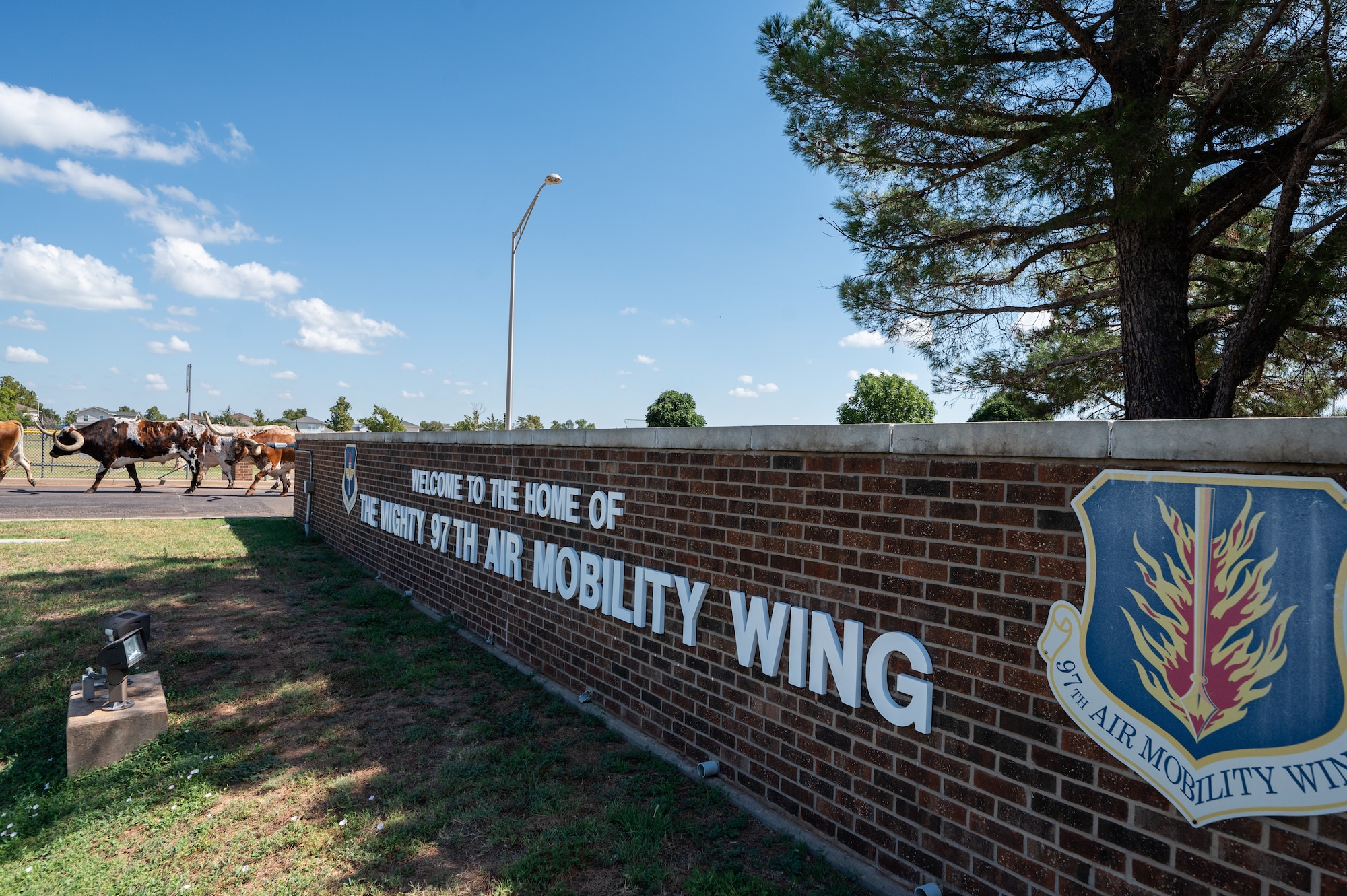 Local ranchers herd cattle through Altus Air Force Base (AFB), Oklahoma, during the 27th Annual Cattle Drive at Altus Air Force Base, Oklahoma, Aug. 21, 2025. The cattle drive is unique to Altus AFB; the only military installation in the world to host this kind of event. (U.S. Air Force photo by Tech. Sgt. Hailey Haux)