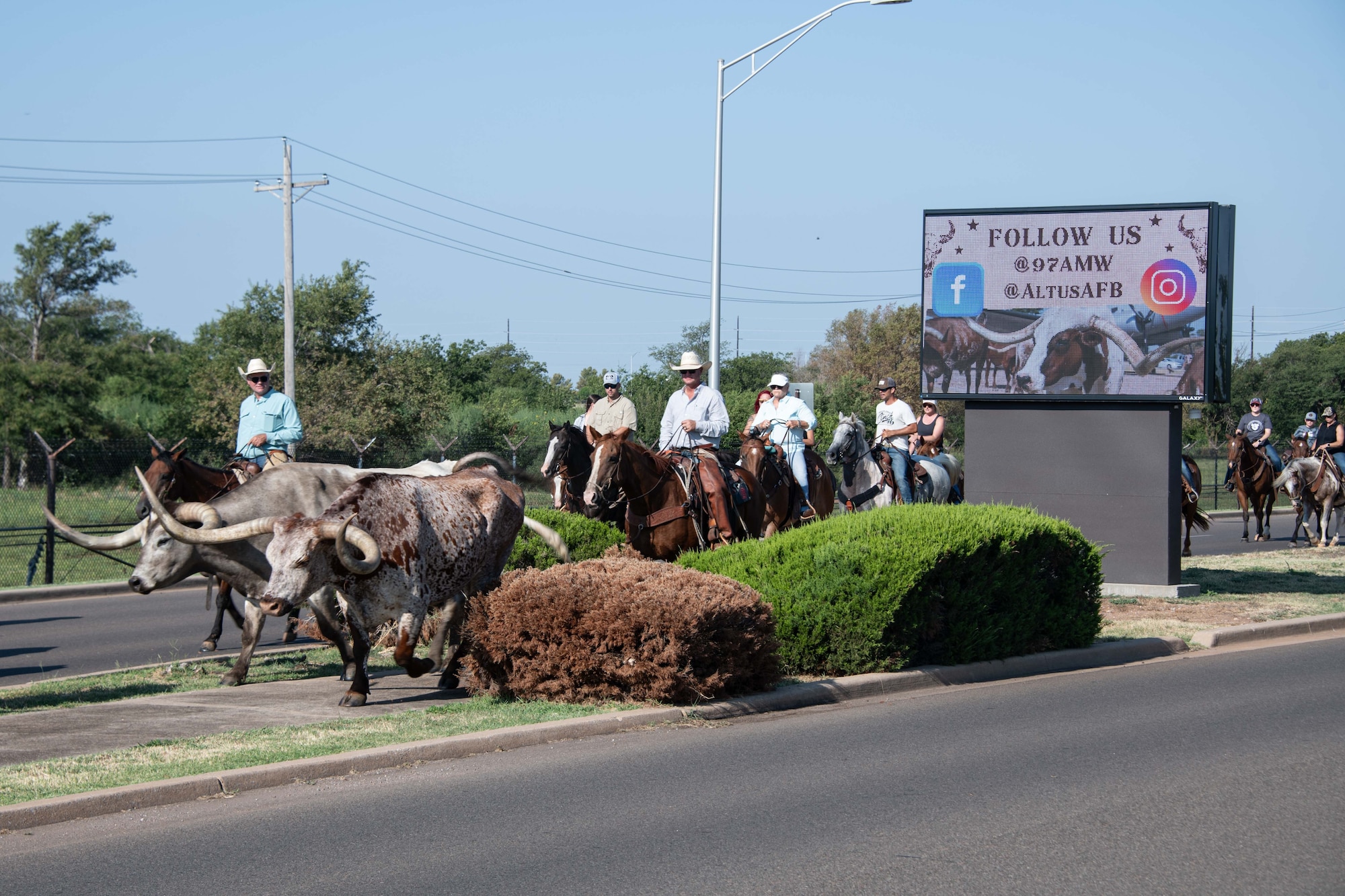 Local ranchers herd cattle through Altus Air Force Base (AFB), Oklahoma, during the 27th Annual Cattle Drive at Altus Air Force Base, Oklahoma, Aug. 21, 2025. The first Altus AFB cattle drive was held in 1999 with 15 riders and a herd of roughly 30 longhorn cattle parading through the streets of Altus AFB and has been a tradition ever since. (U.S. Air Force photo by Staff Sgt. Cody Dowell)