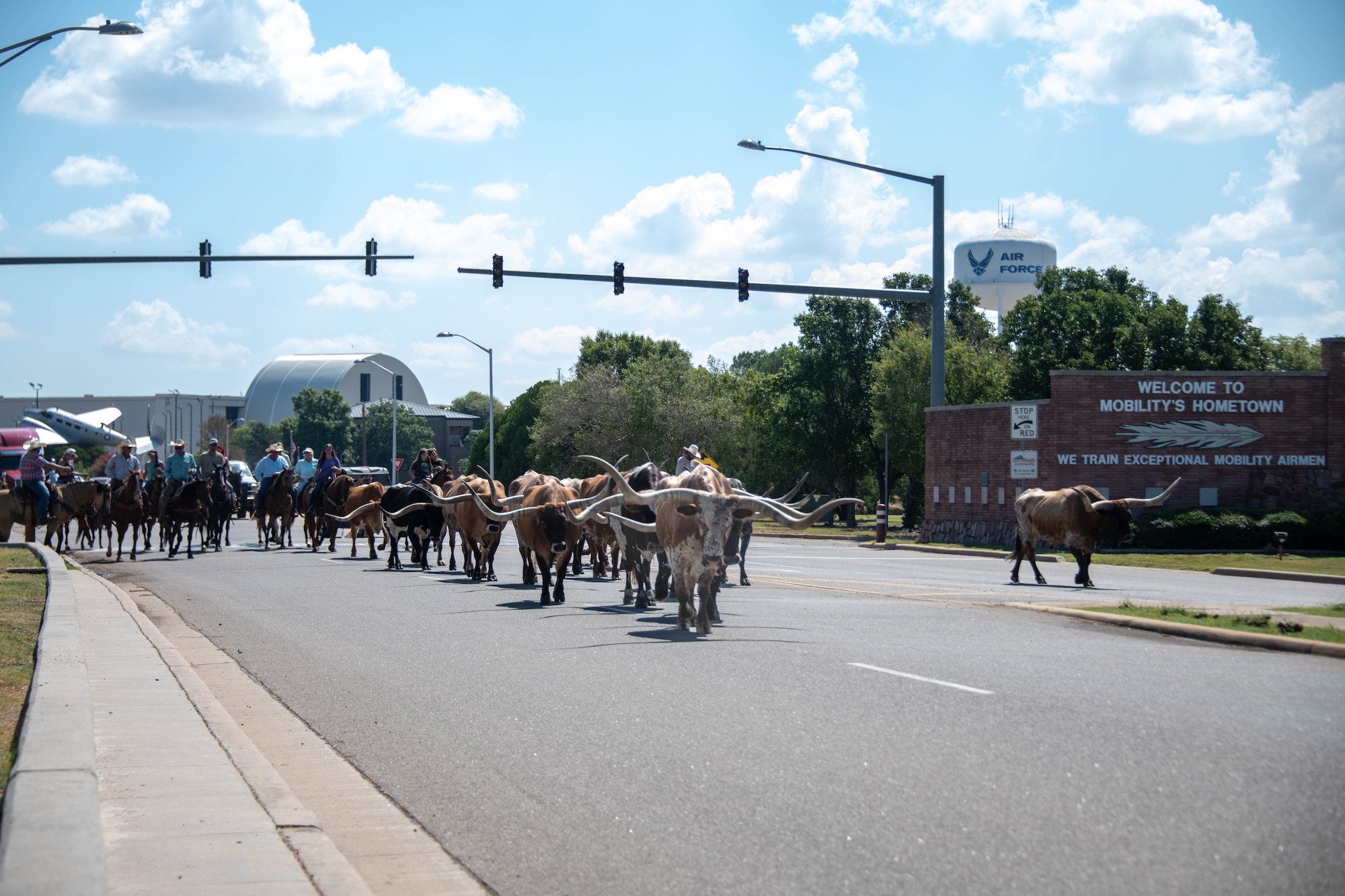 Local ranchers herd cattle through Altus Air Force Base (AFB), Oklahoma, during the 27th Annual Cattle Drive at Altus Air Force Base, Oklahoma, Aug. 21, 2025. The cattle drive is unique to Altus AFB; the only military installation in the world to host this kind of event. (U.S. Air Force photo by Staff Sgt. Cody Dowell)