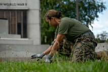U.S. Marine Corps Lt. Col. Justine Davie, a native of Avondale, Ariz. and the communications strategy and operations director for Special Purpose Marine Air-Ground Task Force-250, pulls weeds at the World War II Memorial, Back Bay Fens park, during Marine Week Boston, Aug. 24, 2025. Marines stationed across the globe commemorate the 250th anniversary of the Marine Corps, honoring a distinguished legacy of service, sacrifice, and unwavering fidelity to both the nation and fellow Marines. (U.S. Marine Corps photo by Lance Cpl. Matthew A. McDonnell)