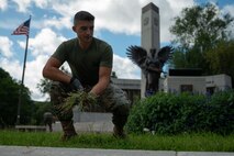 U.S. Marine Corps Capt. Robbie Nanna, a native of Pelham, N.Y., the communications strategy and operations deputy director for Special Purpose Marine Air-Ground Task Force-250, pulls weeds at the World War II Memorial, Back Bay Fens park, during Marine Week Boston, Aug. 24, 2025. Marines stationed across the globe commemorate the 250th anniversary of the Marine Corps, honoring a distinguished legacy of service, sacrifice, and unwavering fidelity to both the nation and fellow Marines. (U.S. Marine Corps photo by Lance Cpl. Matthew A. McDonnell)