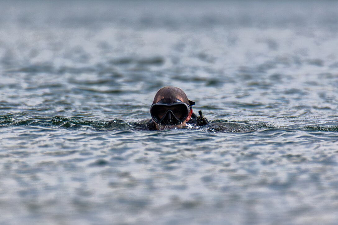 A man wearing diving gear swims in a lake.