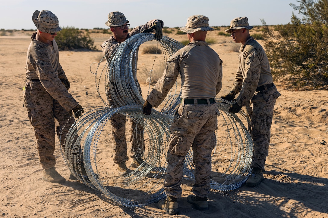 Four Marines hold three coils of concertina wire in the middle of a desert like setting during the day.