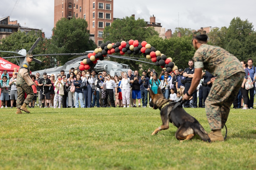 USMC