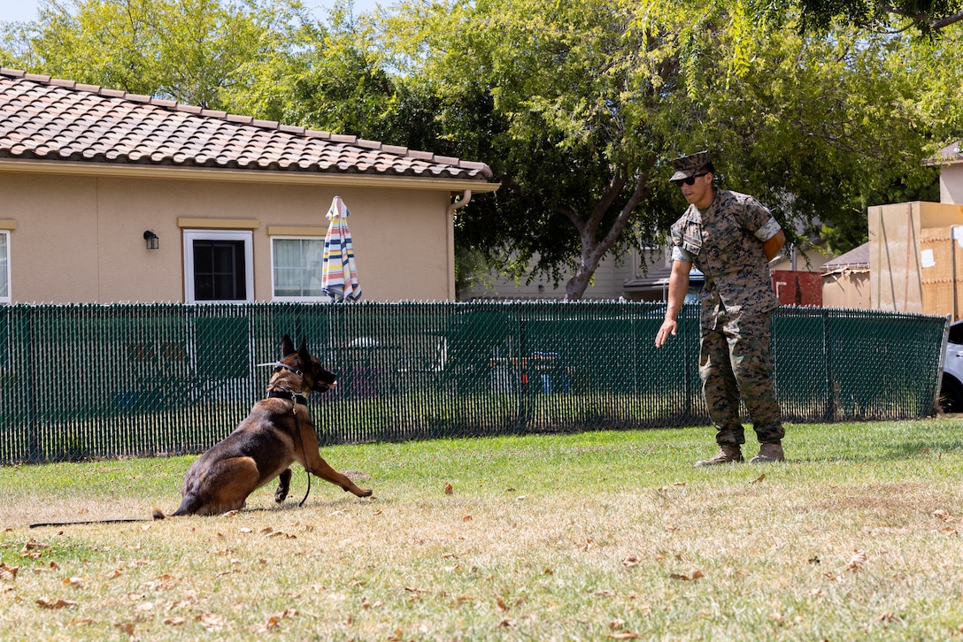 USMC