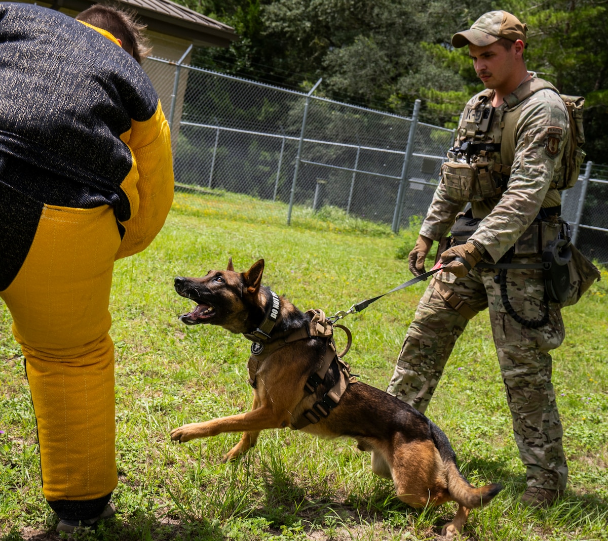 K-9 Appreciation