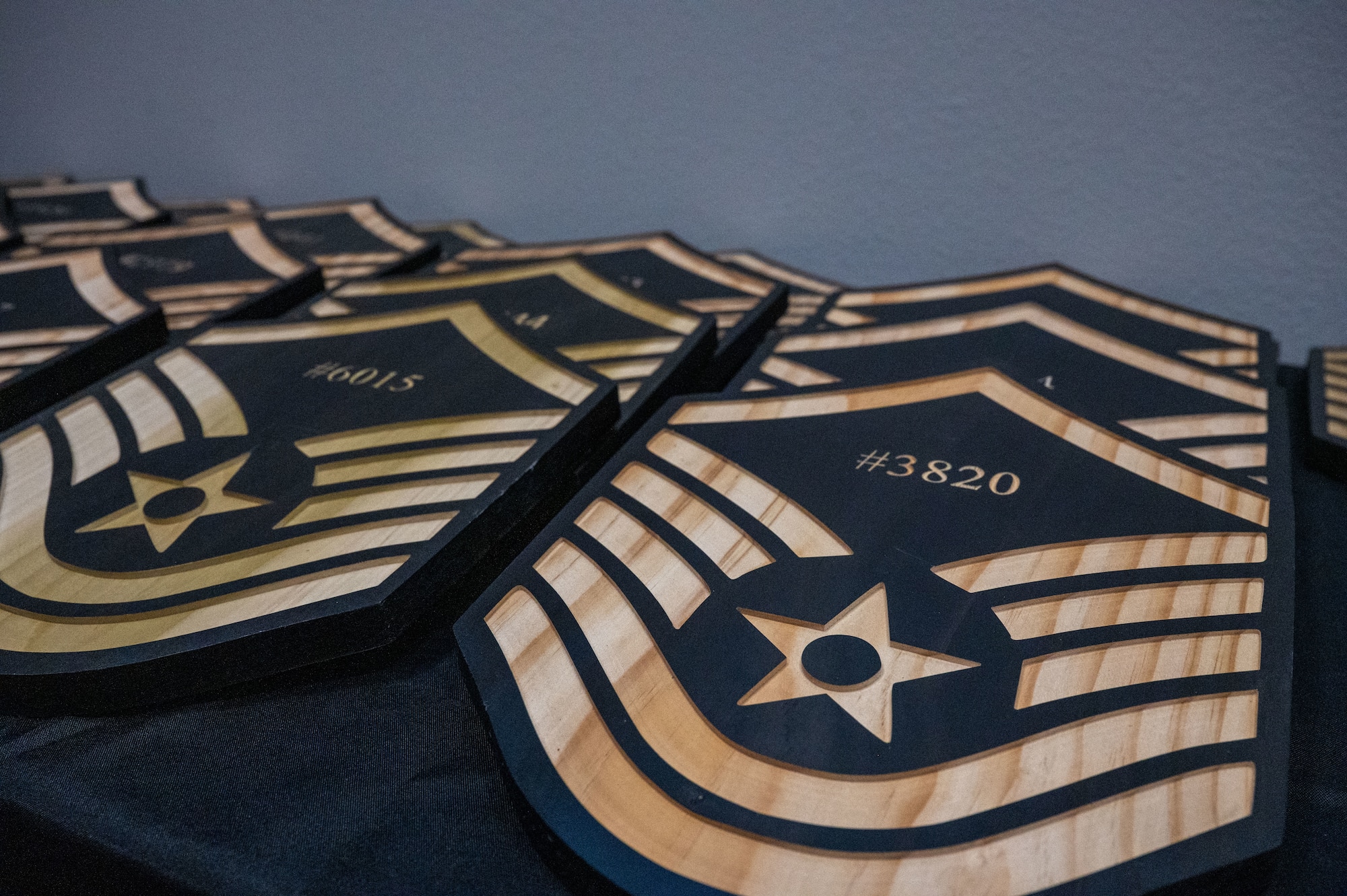 U.S. Air Force Master Sgt. plaques are displayed before the Senior Noncommissioned Officer Induction Ceremony, at the Powell Event Center, Goodfellow Air Force Base, Texas, Aug. 22, 2025. Receiving a Master Sergeant plaque during the induction ceremony symbolizes the recognition of the inductees' leadership, dedication, and transition into a higher level of responsibility within the ranks. (U.S. Air Force photo by Airman 1st Class James Salellas)