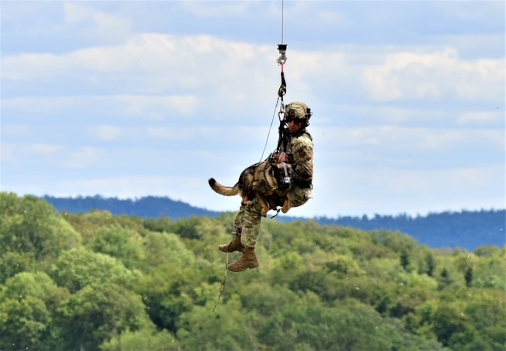 a man and a dog rappel from a helicopter