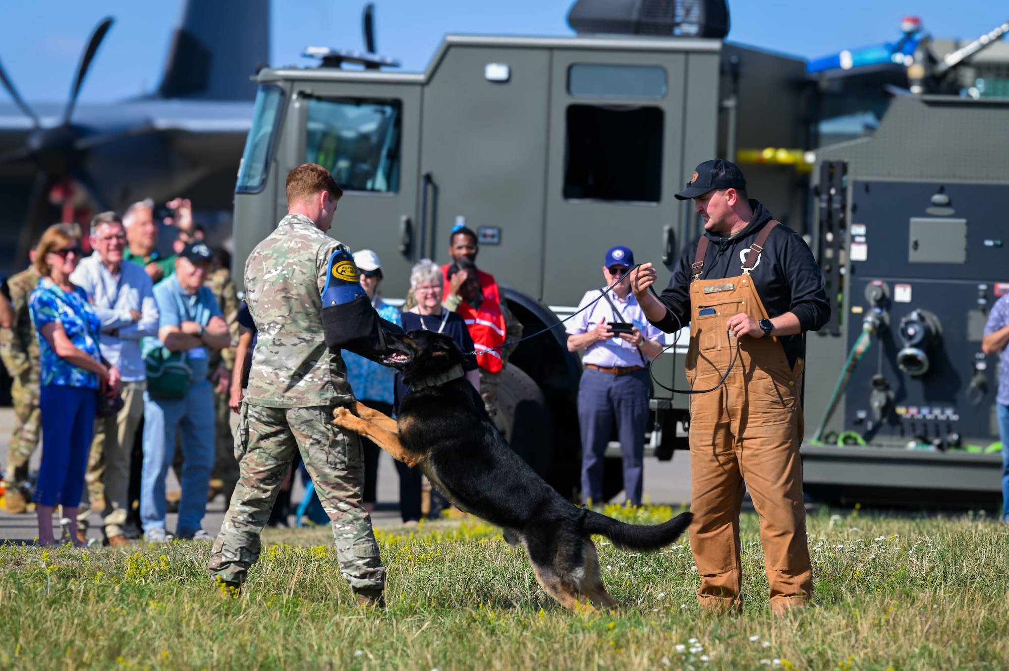U.S. Air Force military working dog Glen, 100th Security Forces Squadron, performs a bite demonstration during the 2025 Retiree Appreciation Day at RAF Mildenhall, England, Aug. 15, 2025.