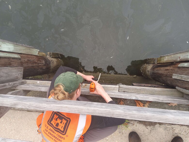U.S. Army Corps of Engineers (USACE), Baltimore District Project Manager Amy Murphy surveys and collects data on stormwater infrastructure and tide gates in Crisfield in support of the Crisfield Stormwater Flood Improvement Plan Project under the USACE Floodplain Management Services Program, Aug. 14, 2025.
