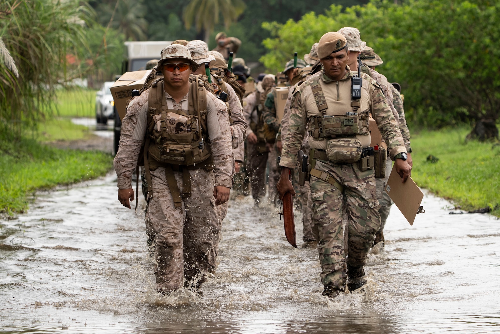 Men in camouflage uniforms train in the jungle.