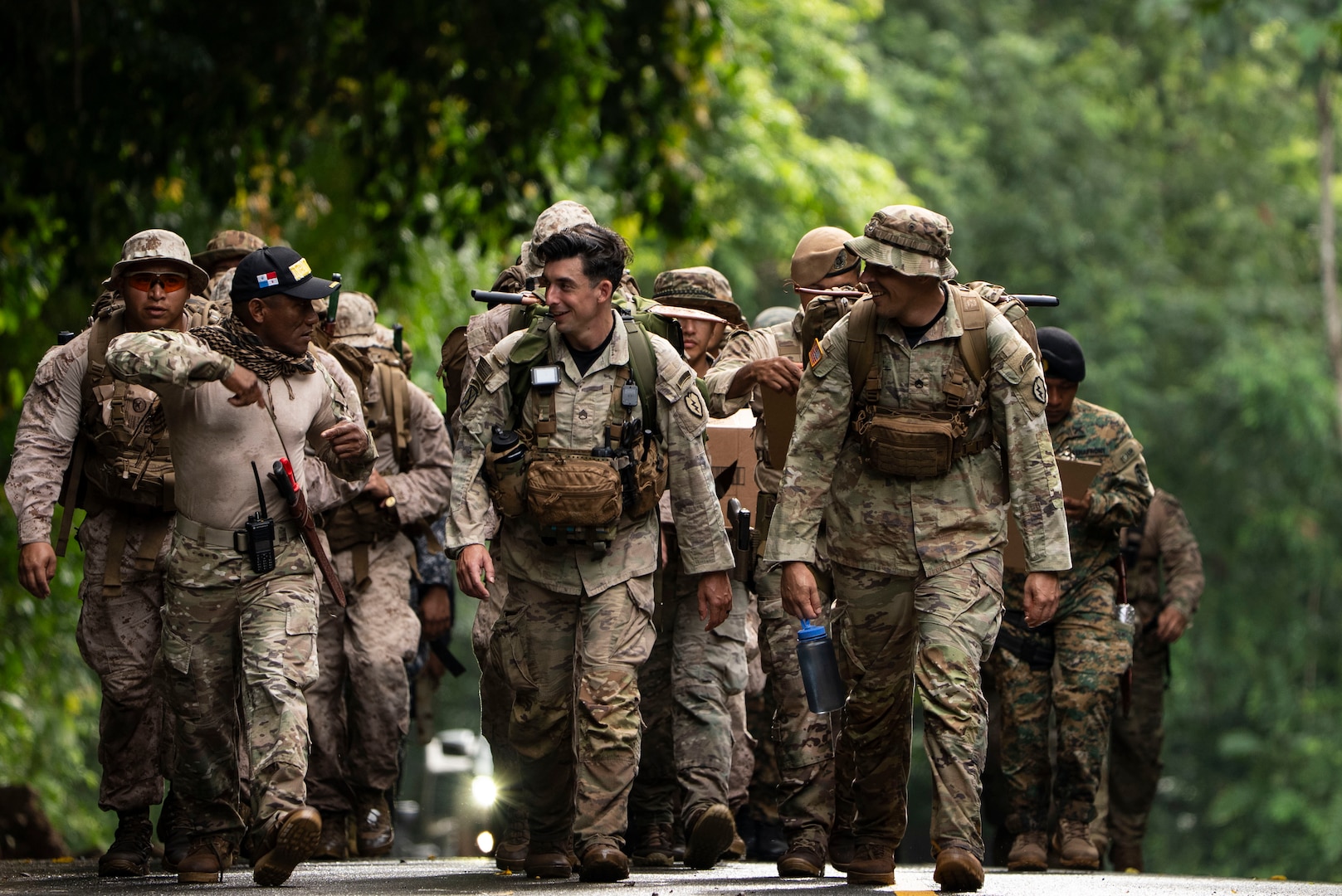 Men in camouflage uniforms train in the jungle.