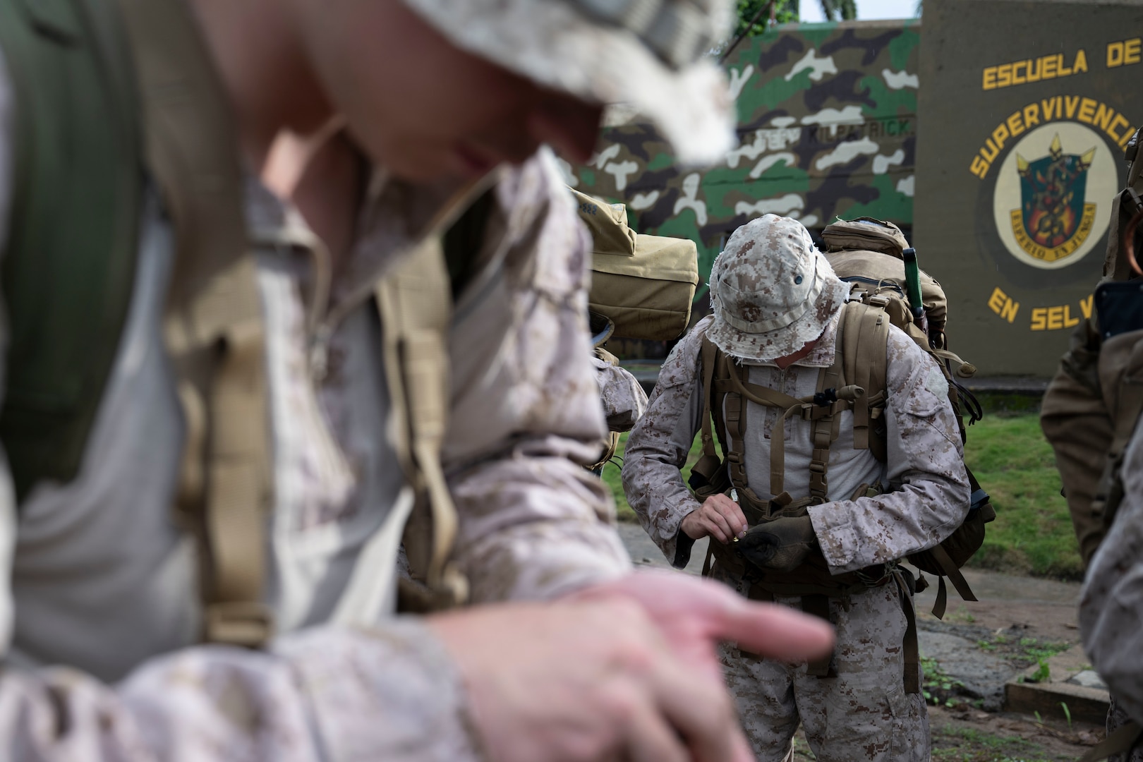 Men in camouflage uniforms train in the jungle.