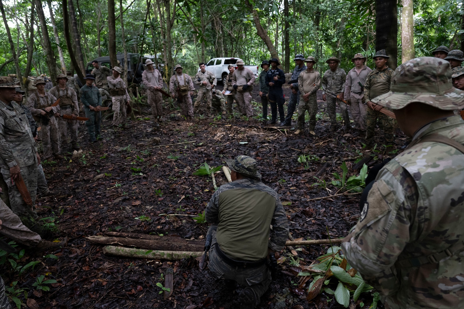 Men in camouflage uniforms train in the jungle.