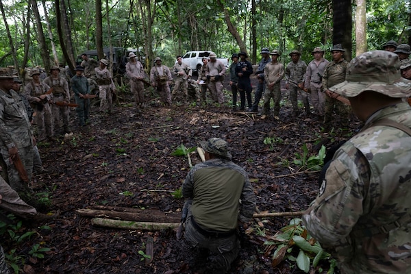 Men in camouflage uniforms train in the jungle.