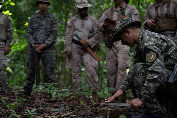 Men in camouflage uniforms train in the jungle.