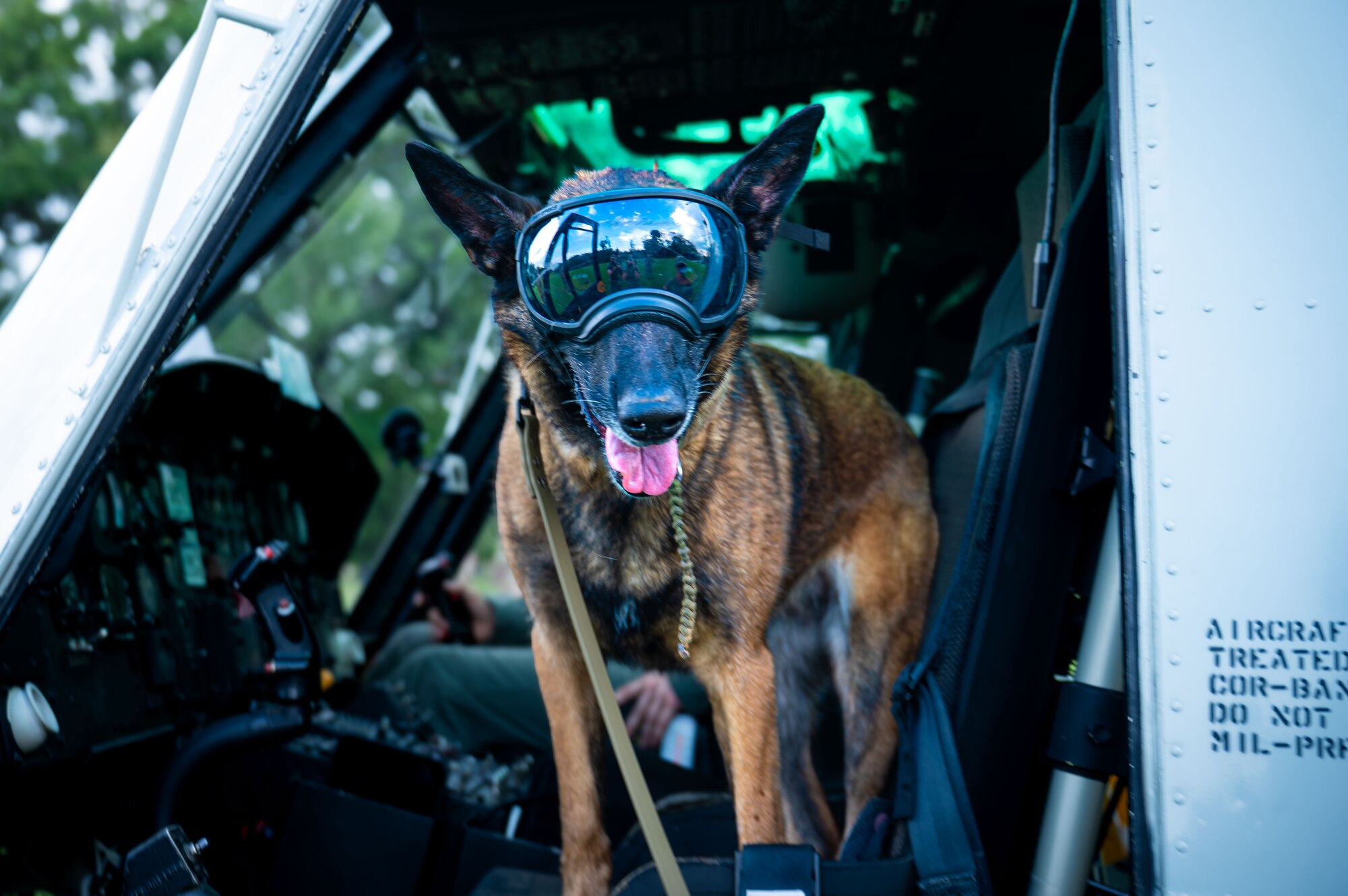 K-9 in UH-1