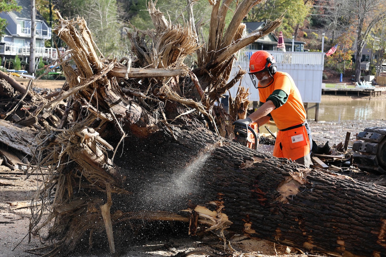 A man wearing an orange helmet, a T-shirt and tan pants is using a chainsaw to cut up a fallen tree.