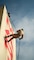 Mike Company Rappel Tower