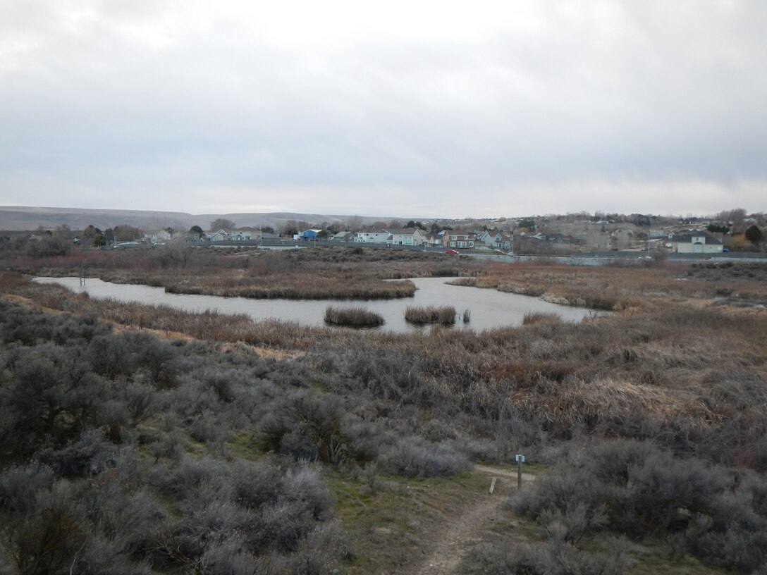 The west fork of Amon Creek in Benton County, Wash.