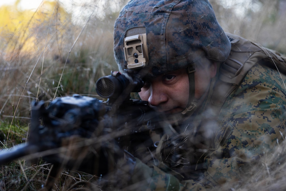 A Marine in combat gear and lying in a grassy area looks through the scope of a rifle during daytime.