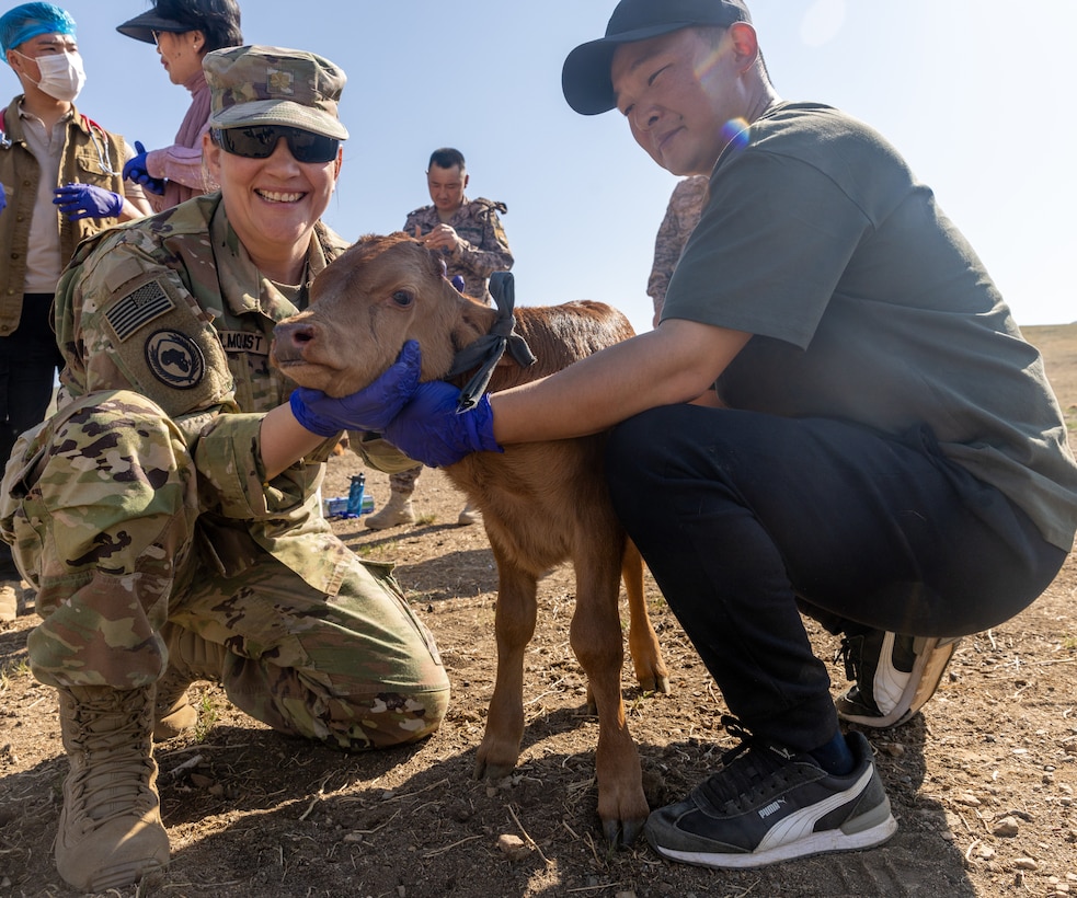 U.S. Army Maj. Lindsey Holmquist, a veterinarian assigned to the 62nd Medical Brigade, I Corps, poses with a local farmer and a calf during Khaan Quest on June 21, 2025, at Five Hills Training Area, Mongolia. U.S. Army Soldiers were invited to train alongside MAF soldiers by the farmers of the local ranch. Khaan Quest is an annual, multinational and multicomponent training exercise led by the Mongolian Armed Forces designed to promote regional peace and security.