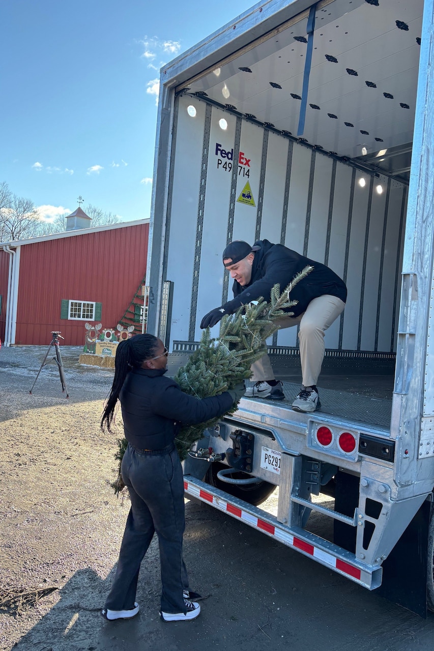 A man, standing in the back of a delivery truck, hands a small tree to a woman.