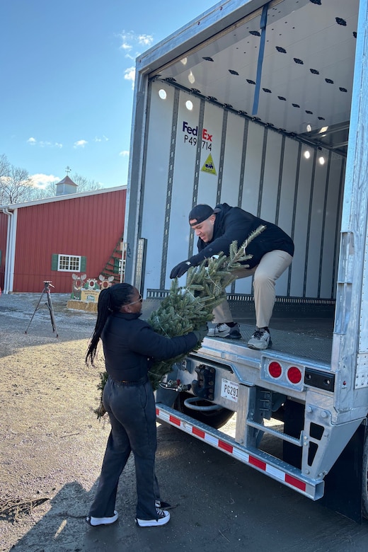 A man, standing in the back of a delivery truck, hands a small tree to a woman.